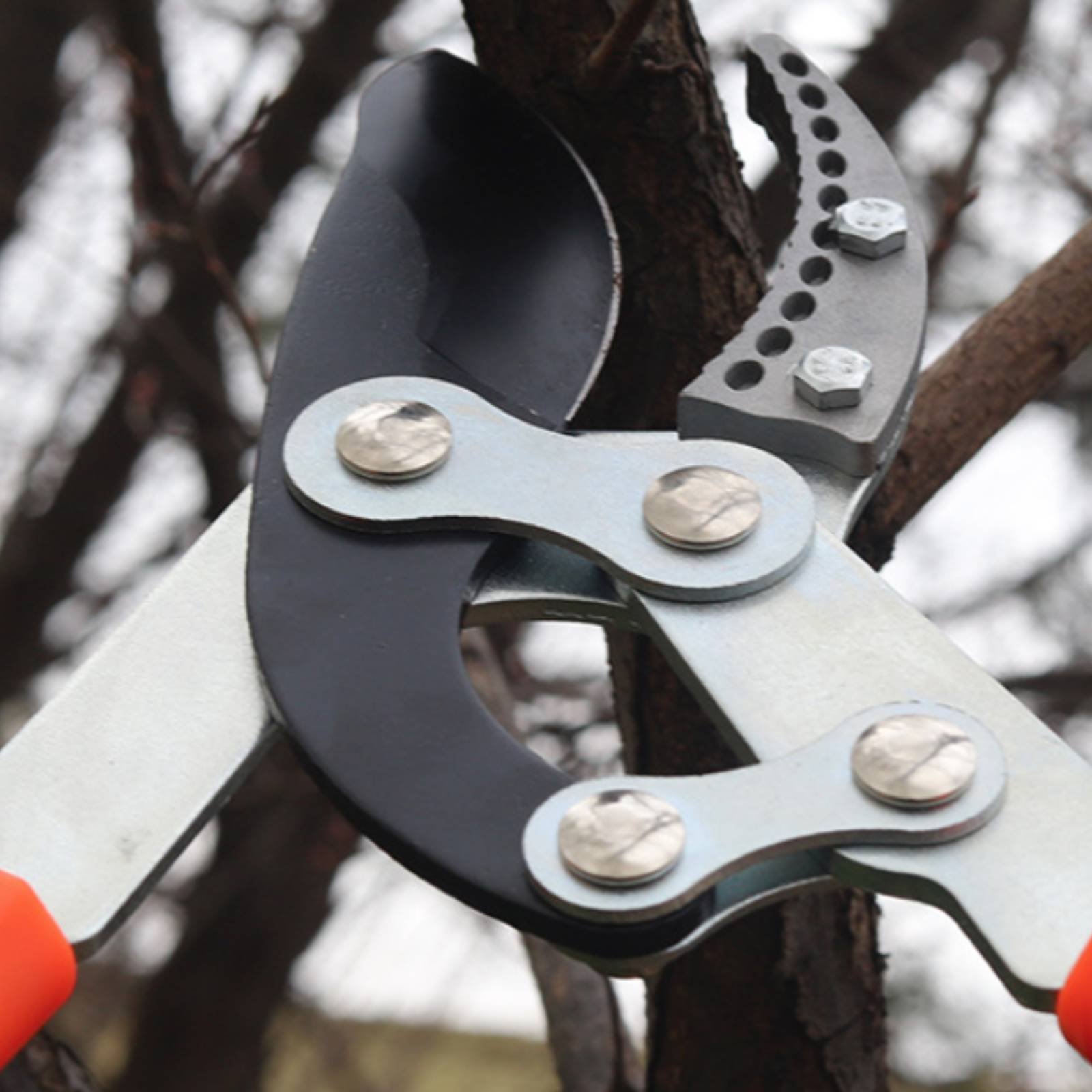 Gardening Tool - Телескопические секаторы для веток с острым