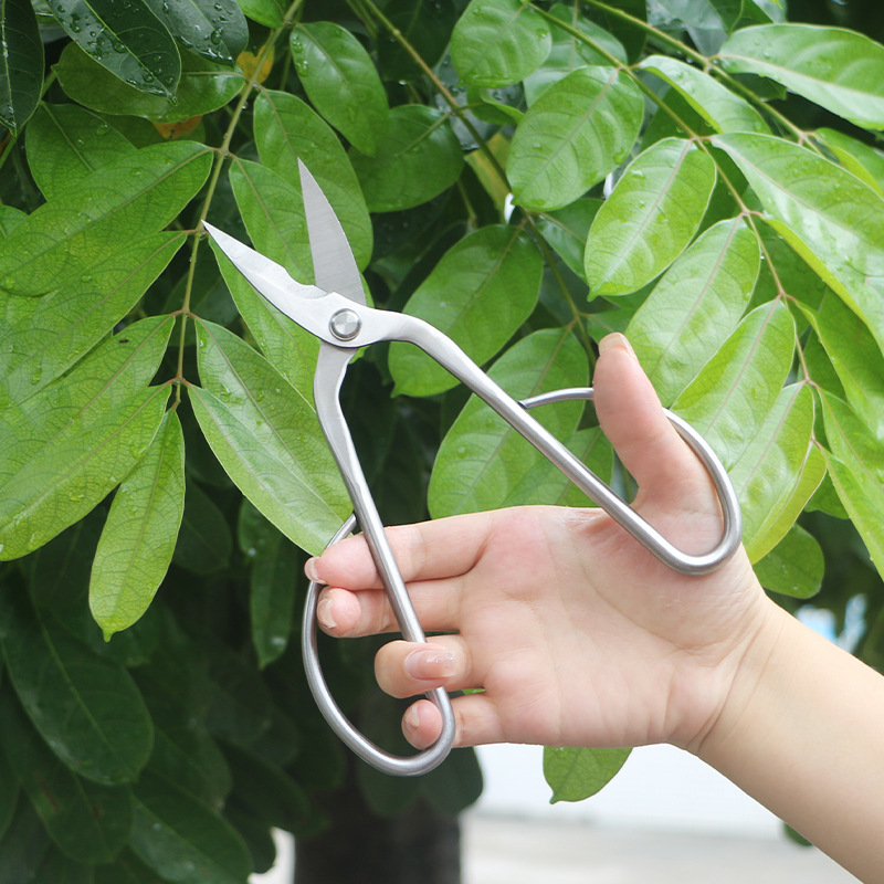 Цельнометаллические садовые но – обзор и цена Gardening Tools Japanese