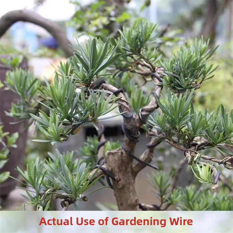 Алюминиевая проволока для бонс – обзор и цена Gardening Tools Diy