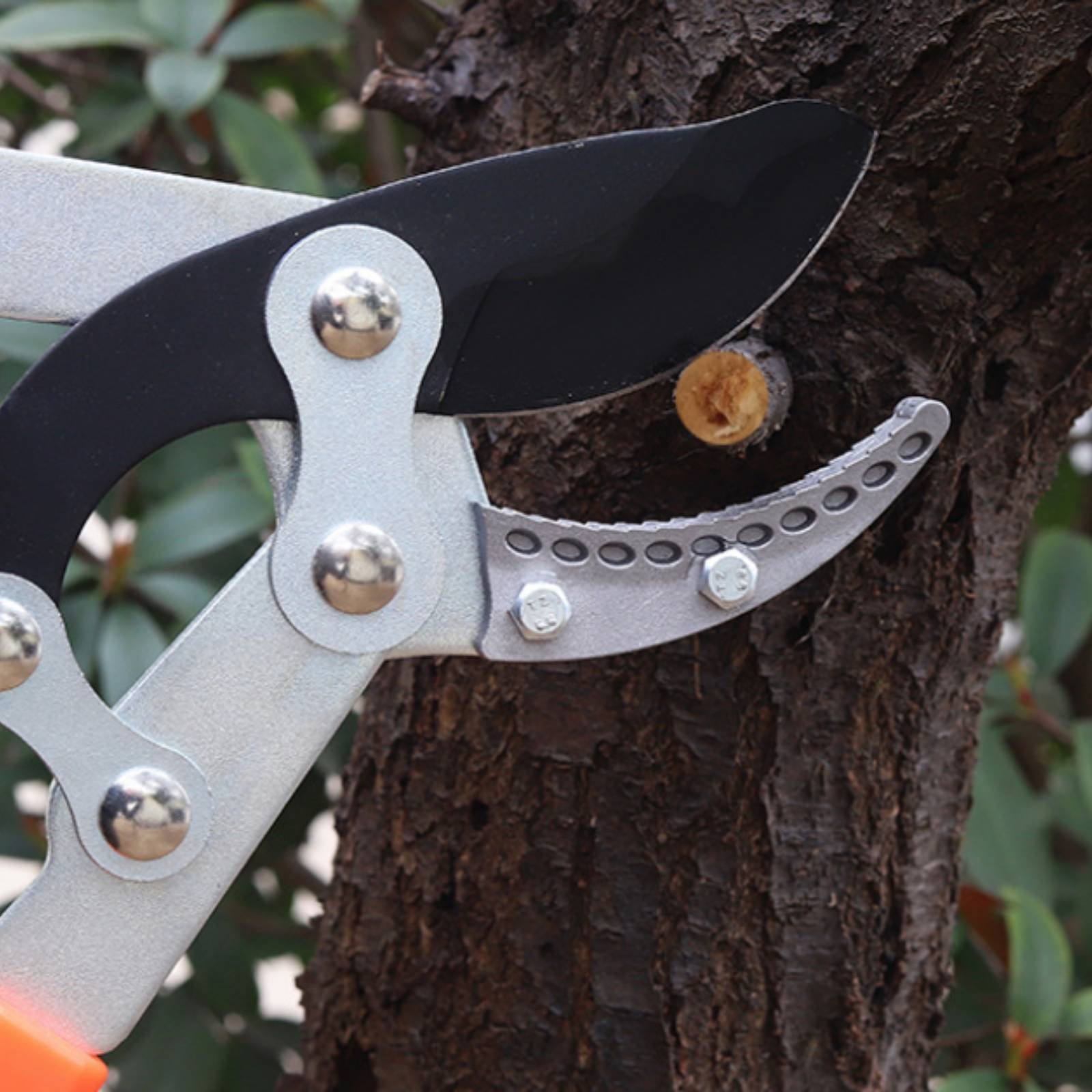 Телескопические секаторы для в – обзор и цена Gardening Tool
