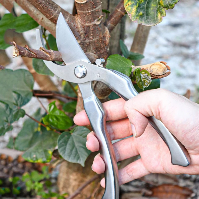 Профессиональные садовые секат – обзор и цена Gardening Tools Japanese